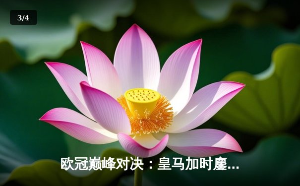 欧冠巅峰对决：皇马加时鏖战3-2险胜拜仁，本泽马戴帽创历史 - 3